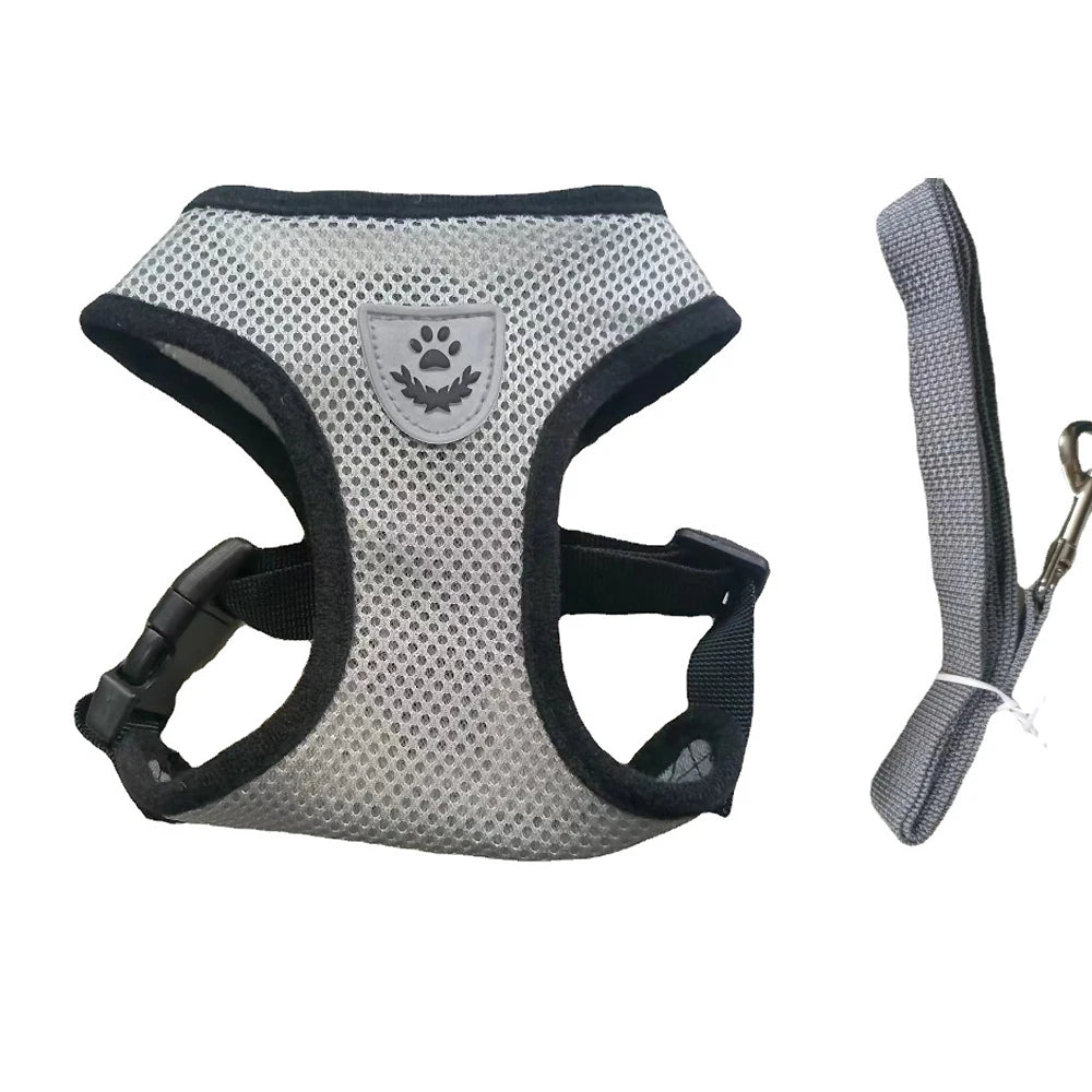 Harnais respirant avec laisse pour chat et petit chien – Ajustable et réfléchissant